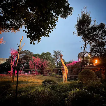 天王寺動物園に投稿された画像（2021/8/22）