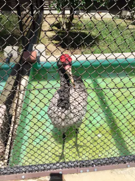 天王寺動物園に投稿された画像（2021/8/22）