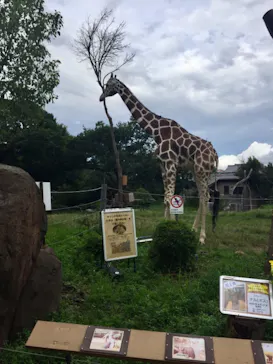 天王寺動物園に投稿された画像（2021/8/22）