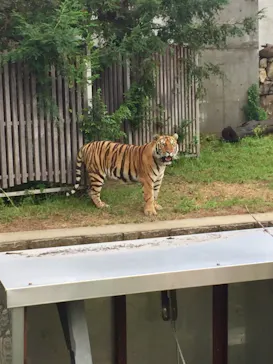 天王寺動物園に投稿された画像（2021/8/22）