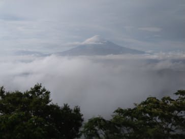 伊豆パノラマパークに投稿された画像（2021/8/22）