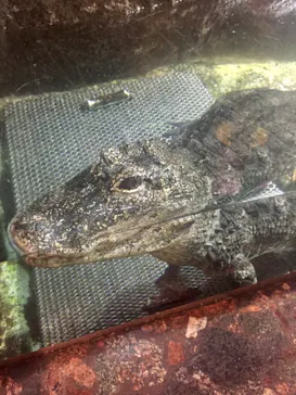 天王寺動物園に投稿された画像（2021/8/22）