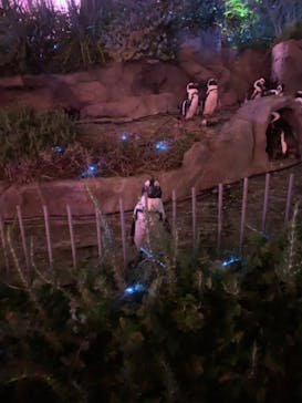 サンシャイン水族館に投稿された画像（2021/8/22）