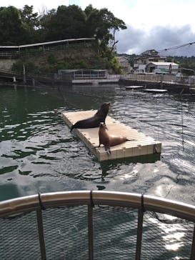 伊豆・三津シーパラダイスに投稿された画像（2021/8/22）