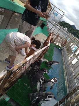 伊豆・三津シーパラダイスに投稿された画像（2021/8/22）