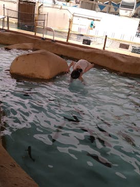 伊豆・三津シーパラダイスに投稿された画像（2021/8/22）