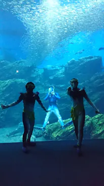 仙台うみの杜水族館に投稿された画像（2021/8/22）