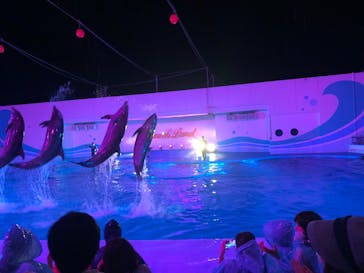 南知多ビーチランド＆南知多おもちゃ王国に投稿された画像（2021/8/22）