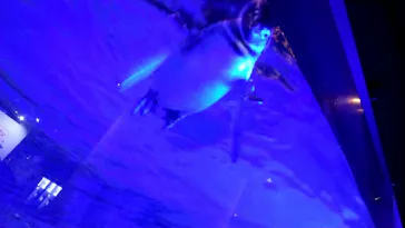 すみだ水族館に投稿された画像（2021/8/22）