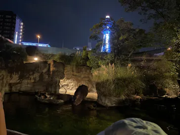 天王寺動物園に投稿された画像（2021/8/22）