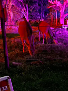 天王寺動物園に投稿された画像（2021/8/22）