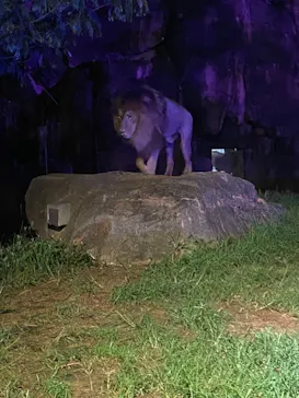 天王寺動物園に投稿された画像（2021/8/22）