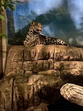 天王寺動物園に投稿された画像（2021/8/22）