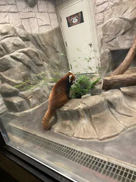 天王寺動物園に投稿された画像（2021/8/22）