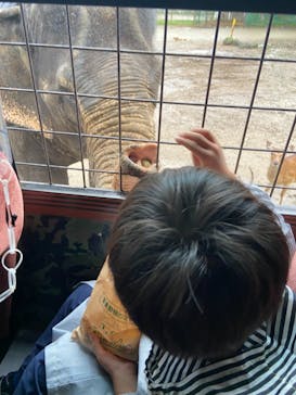 那須サファリパークに投稿された画像（2021/8/22）