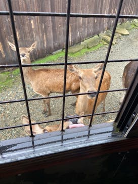 那須サファリパークに投稿された画像（2021/8/22）