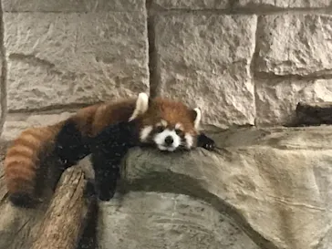 天王寺動物園に投稿された画像（2021/8/22）