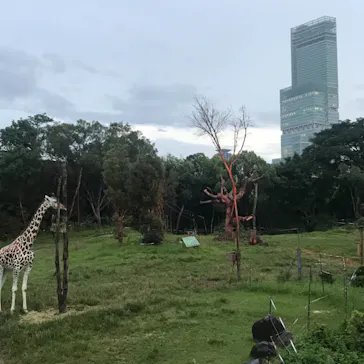 天王寺動物園に投稿された画像（2021/8/22）