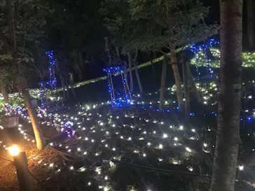 天王寺動物園に投稿された画像（2021/8/22）