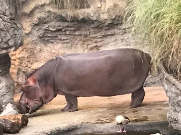 天王寺動物園に投稿された画像（2021/8/22）