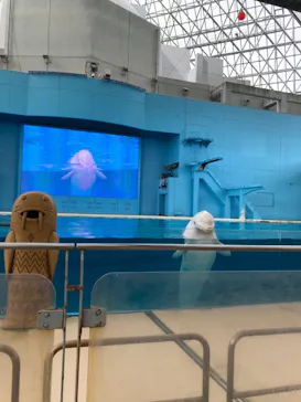 横浜・八景島シーパラダイスに投稿された画像（2021/8/22）