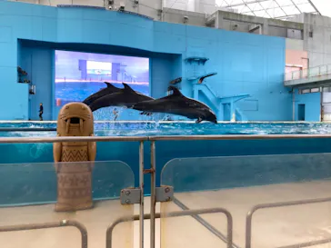 横浜・八景島シーパラダイスに投稿された画像（2021/8/22）