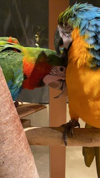 Moff animal world MARK IS みなとみらい店に投稿された画像（2021/8/23）