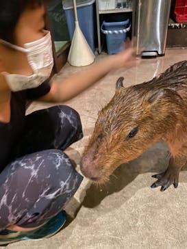 Moff animal world MARK IS みなとみらい店に投稿された画像（2021/8/23）