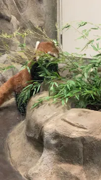 天王寺動物園に投稿された画像（2021/8/23）