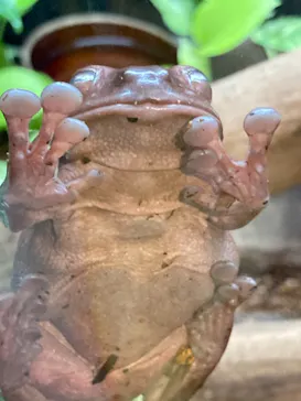 天王寺動物園に投稿された画像（2021/8/23）