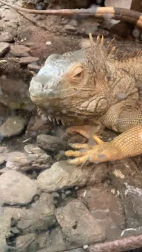 天王寺動物園に投稿された画像（2021/8/23）