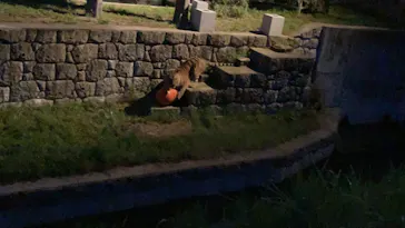 天王寺動物園に投稿された画像（2021/8/23）