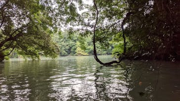 カヌーリゾートたまよどに投稿された画像（2021/8/23）