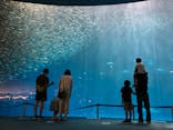 名古屋港水族館に投稿された画像（2021/8/23）