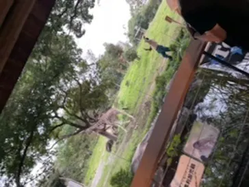 天王寺動物園に投稿された画像（2021/8/23）