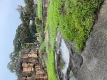 天王寺動物園に投稿された画像（2021/8/23）