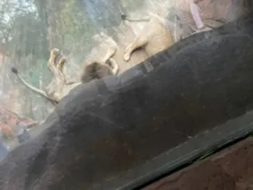 天王寺動物園に投稿された画像（2021/8/23）