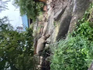 天王寺動物園に投稿された画像（2021/8/23）