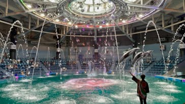 マクセル アクアパーク品川に投稿された画像（2021/8/23）