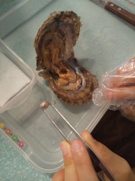 しながわ水族館に投稿された画像（2021/8/23）