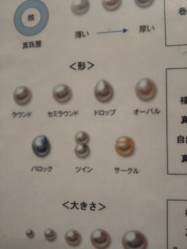 しながわ水族館に投稿された画像（2021/8/23）