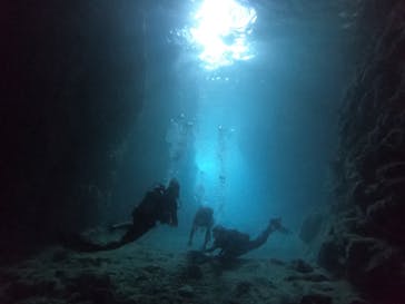 武藤潜水に投稿された画像（2021/8/23）