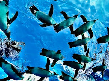 サンシャイン水族館に投稿された画像（2021/8/23）