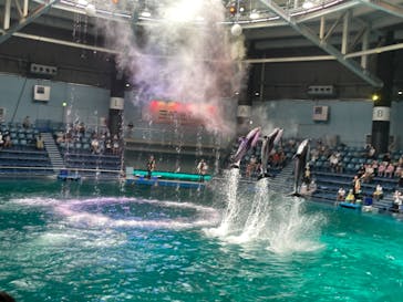 マクセル アクアパーク品川に投稿された画像（2021/8/23）