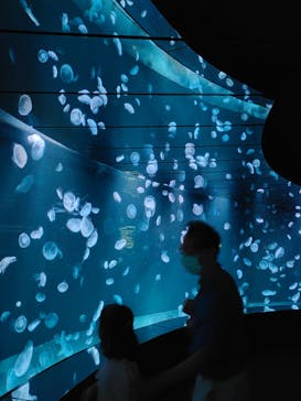 サンシャイン水族館に投稿された画像（2021/8/23）