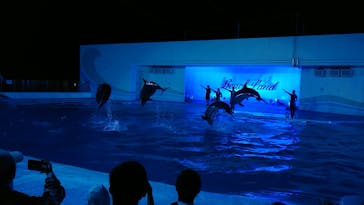 南知多ビーチランド＆南知多おもちゃ王国に投稿された画像（2021/8/23）