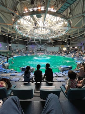 マクセル アクアパーク品川に投稿された画像（2021/8/23）