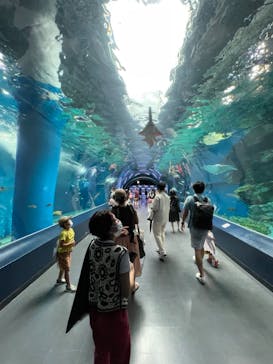 マクセル アクアパーク品川に投稿された画像（2021/8/23）