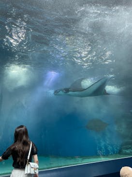 マクセル アクアパーク品川に投稿された画像（2021/8/23）