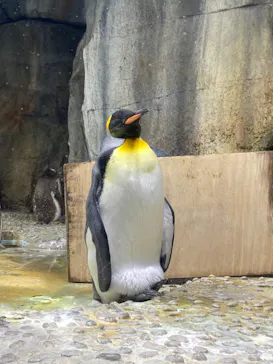仙台うみの杜水族館に投稿された画像（2021/8/23）